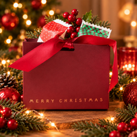 Mini Christmas Bags