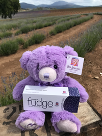 Choc Lavender Fudge | House of Fudge | Gourmet Fudge